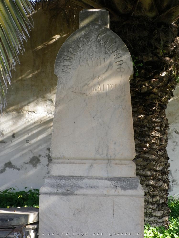 CIMETIERE DE TAMAZOUHET D ORAN EN MARS 2012  (50).JPG